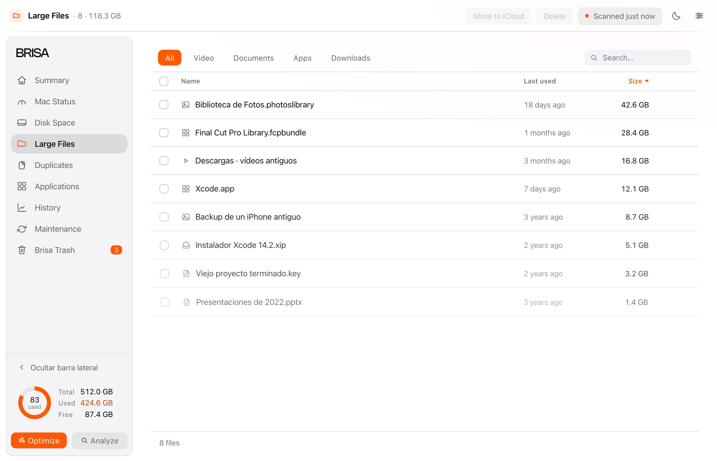 Large files in Brisa: a table with name, size and last opened, plus filters by kind.